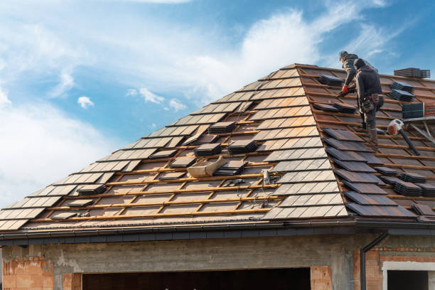 Best Roof Insulation Installation  in Gurnee, IL
